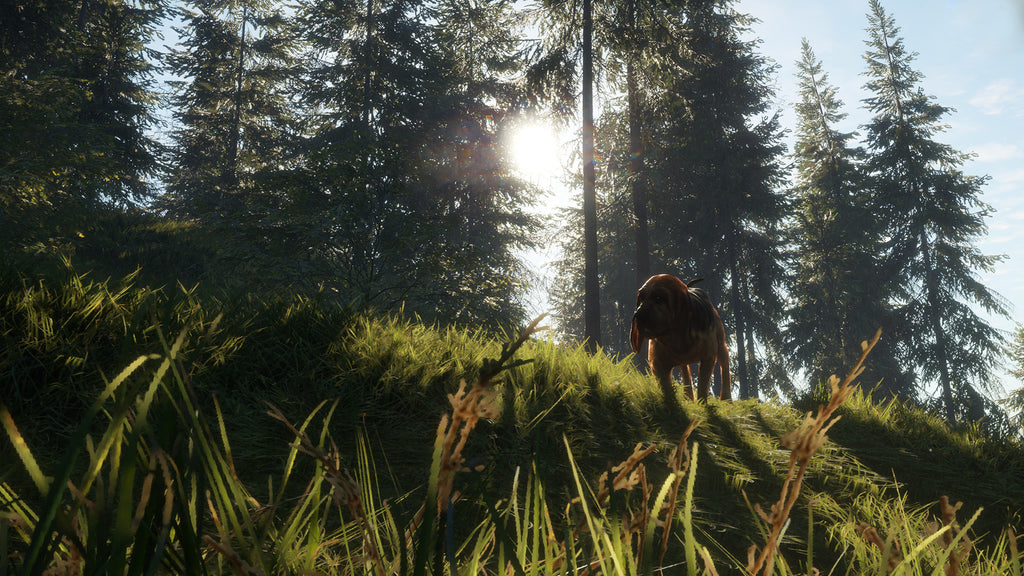 theHunter Call of the Wild - Bloodhound DLC - PC (Steam) — screenshot 2