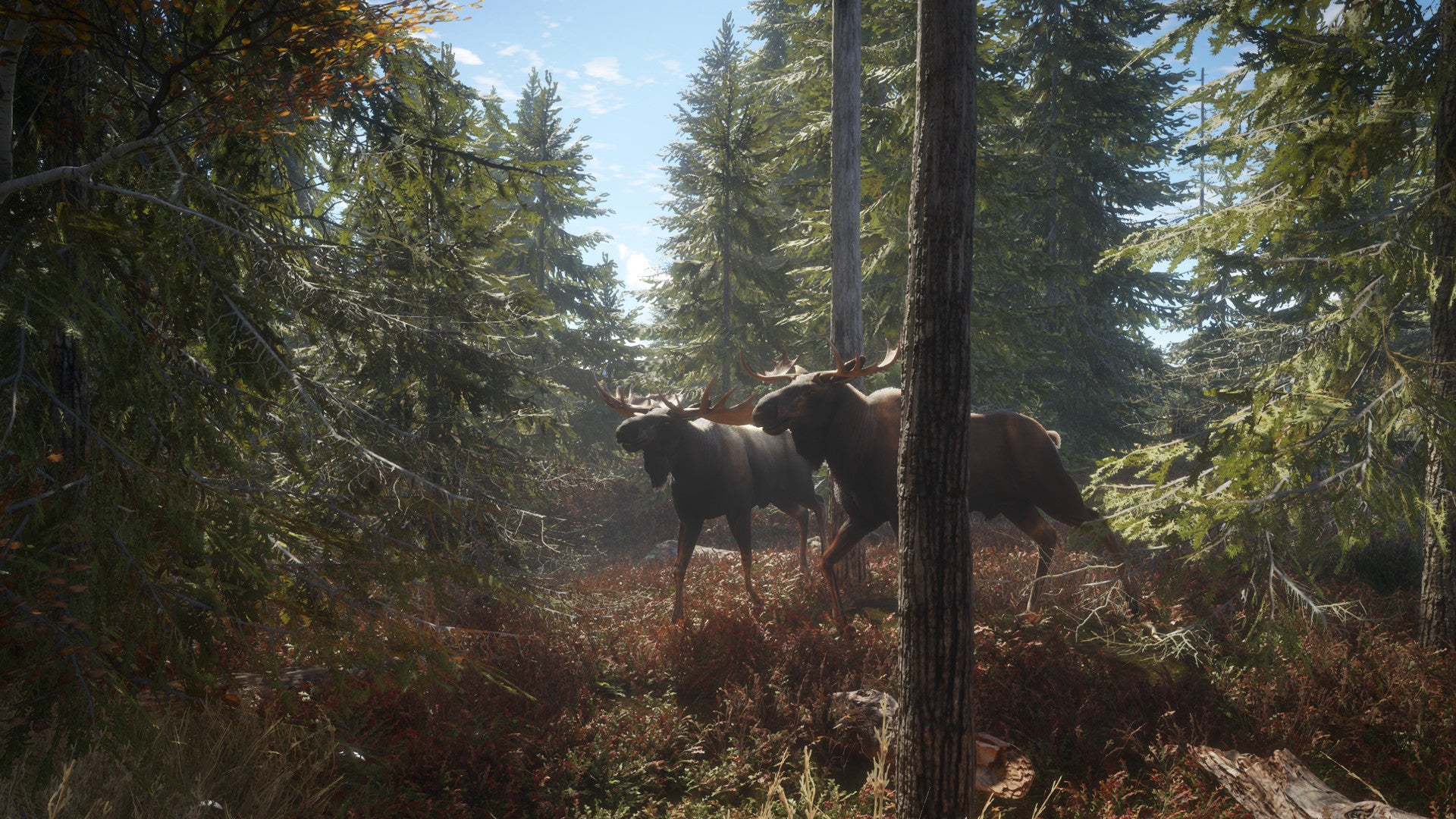 theHunter Call of the Wild - PC (Steam) — screenshot 1