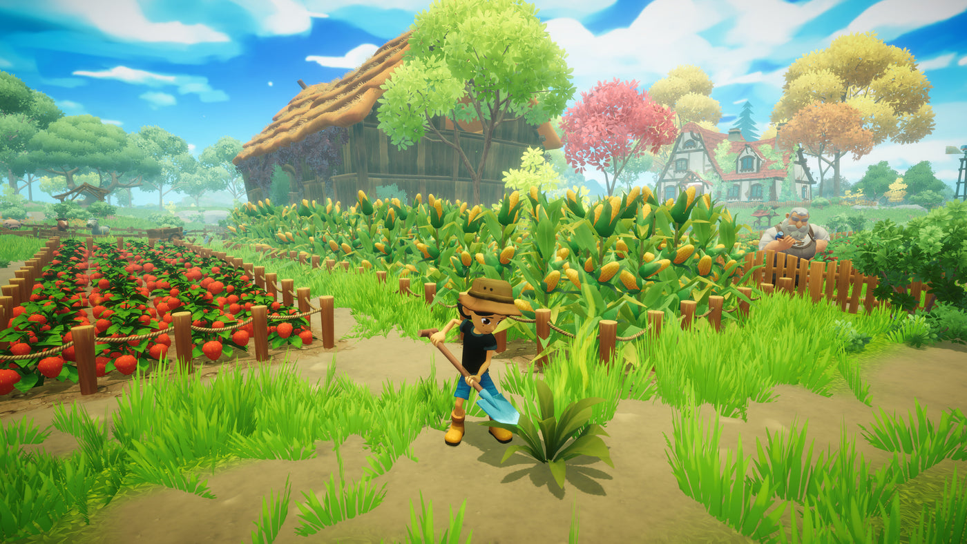 Everdream Valley - PC (Steam) — скриншот 3
