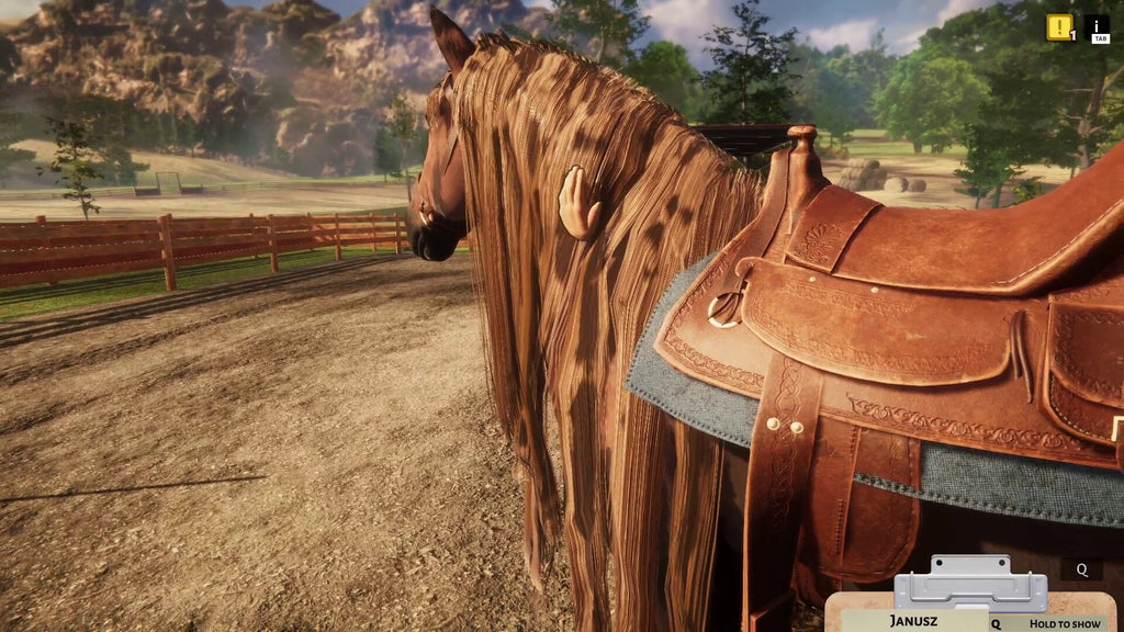 Animal Shelter - Horse Shelter DLC - PC (Steam) — screenshot 1