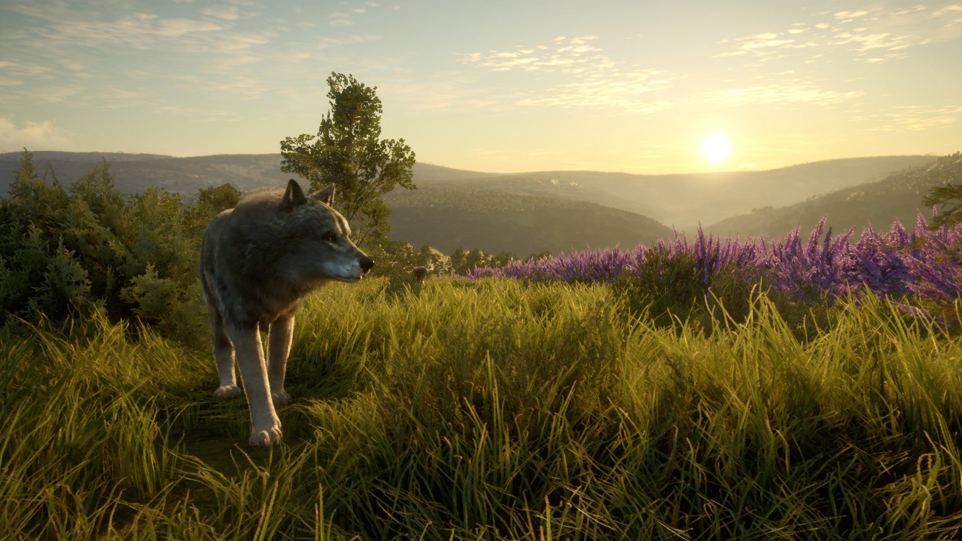 theHunter Call of the Wild - Cuatro Colinas Game Reserve DLC - PC (Steam) — screenshot 2