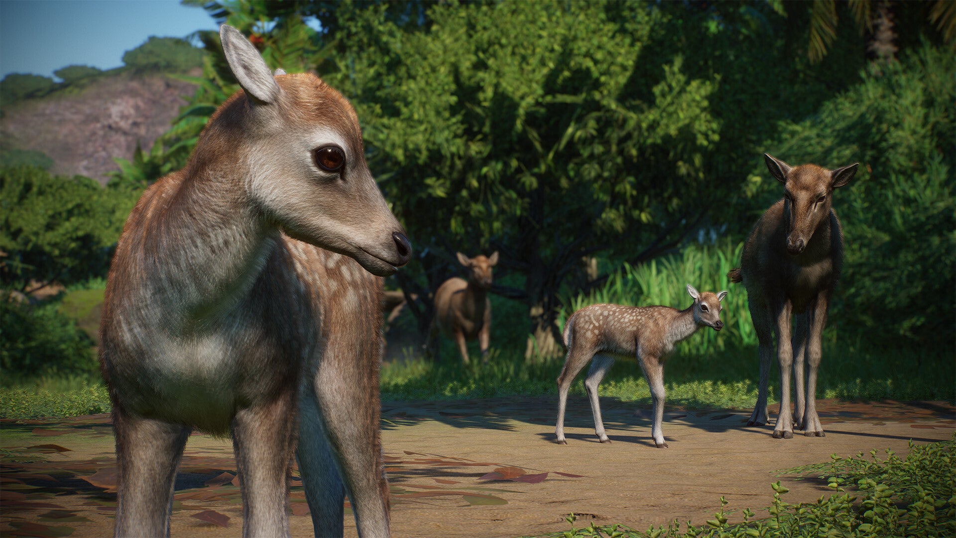 Planet Zoo: Asia Animal Pack DLC - PC (Steam) — screenshot 3