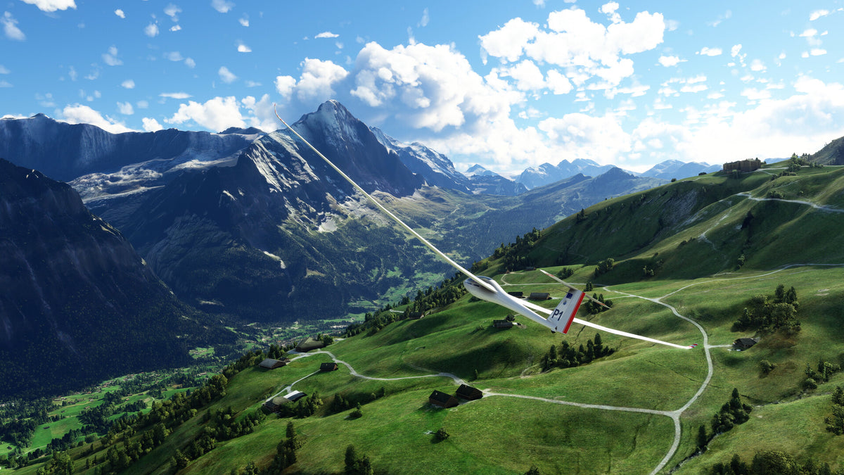 Microsoft Flight Simulator 2020 40th Anniversary Edition - PC (Steam) — screenshot 3