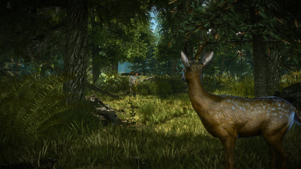 The Witcher 2: Assassins of Kings Enhanced Edition - PC (GOG) — screenshot 2