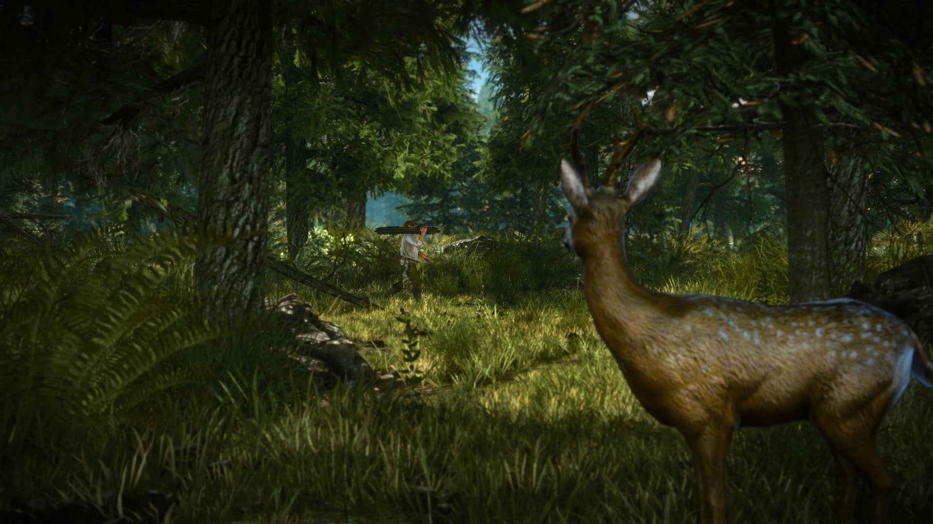 The Witcher 2: Assassins of Kings Enhanced Edition - PC (GOG) — screenshot 2