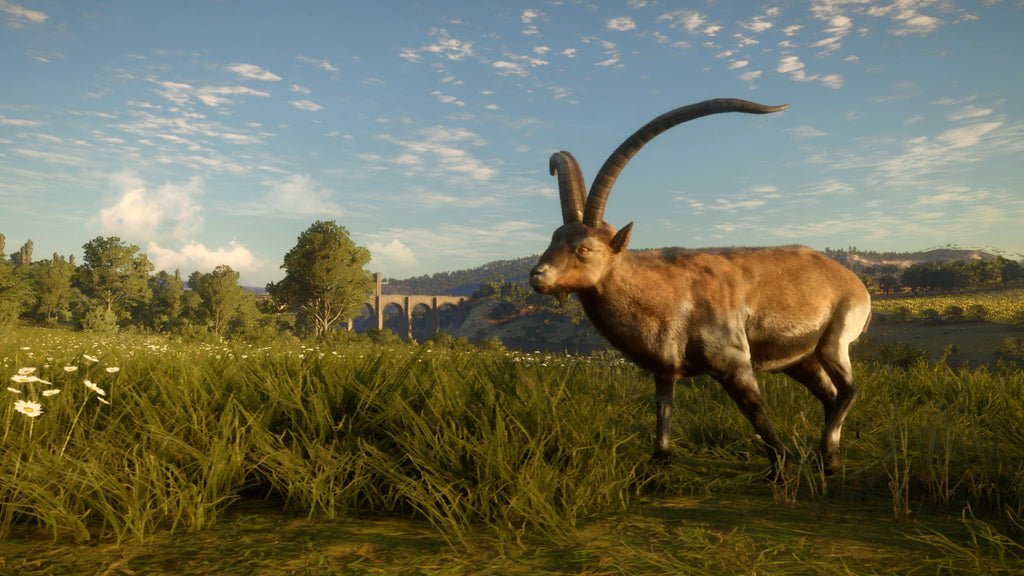 theHunter Call of the Wild - Cuatro Colinas Game Reserve DLC - PC (Steam) — screenshot 3