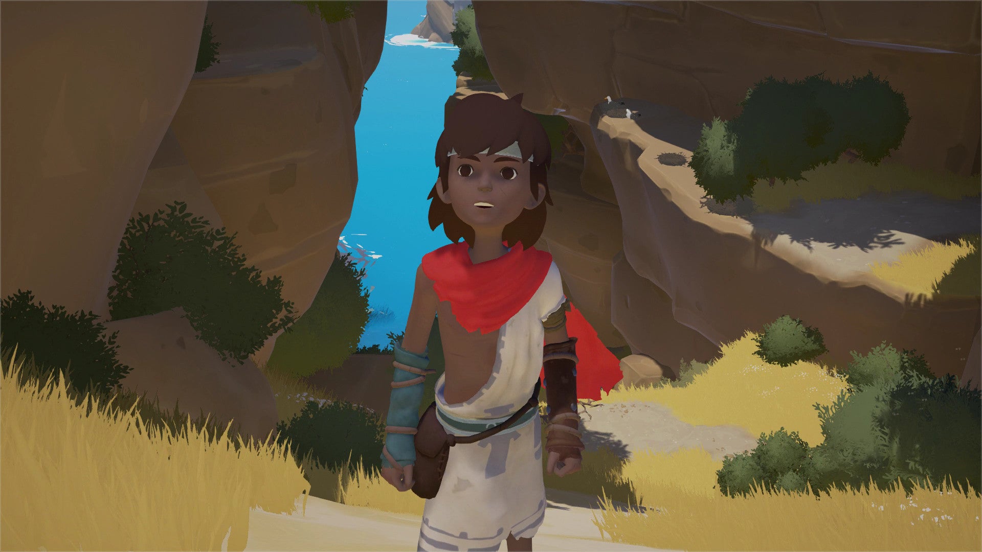 RiME - PC (Steam) — screenshot 1