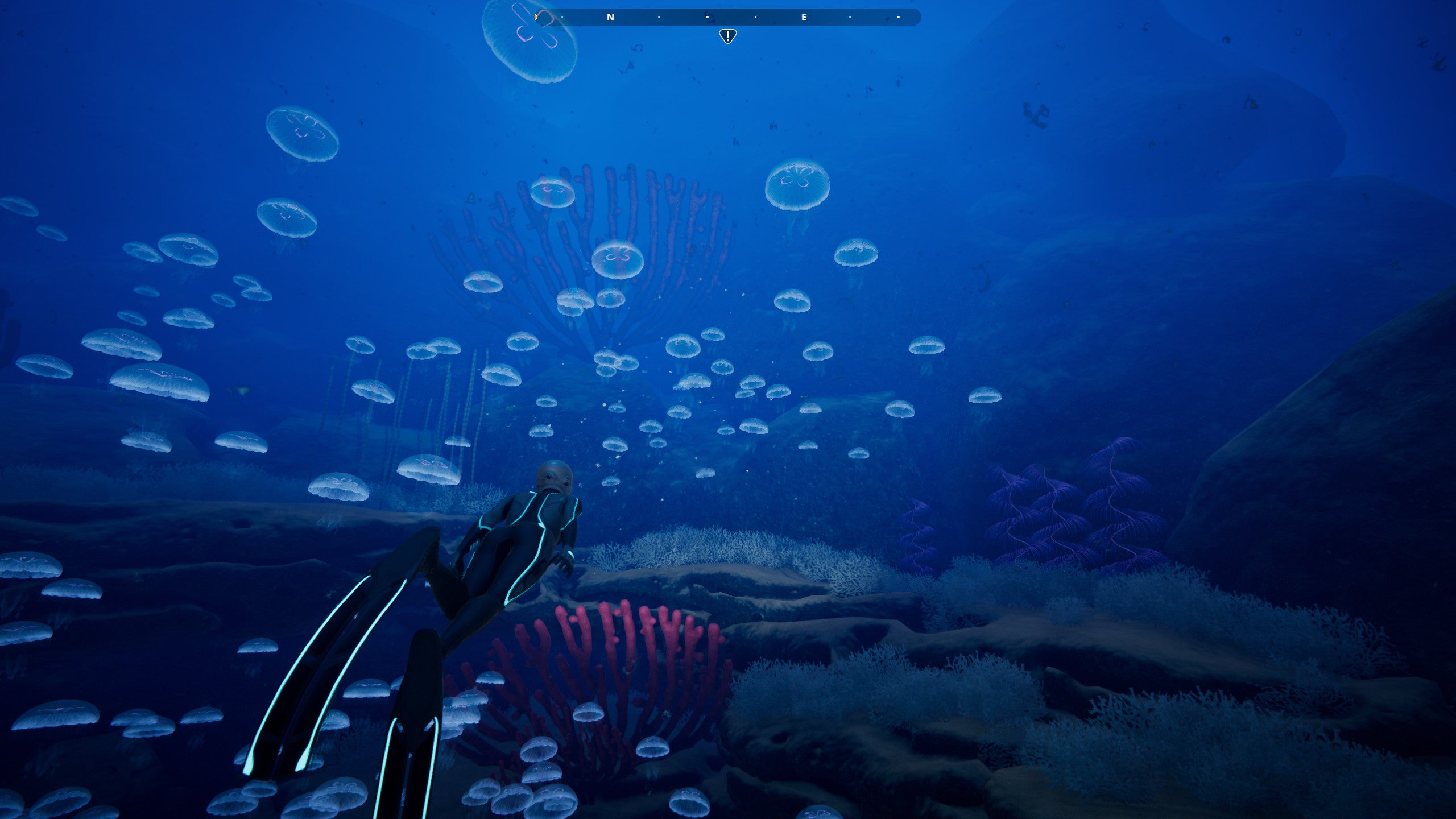 Beyond Blue - PC (Steam) — screenshot 3