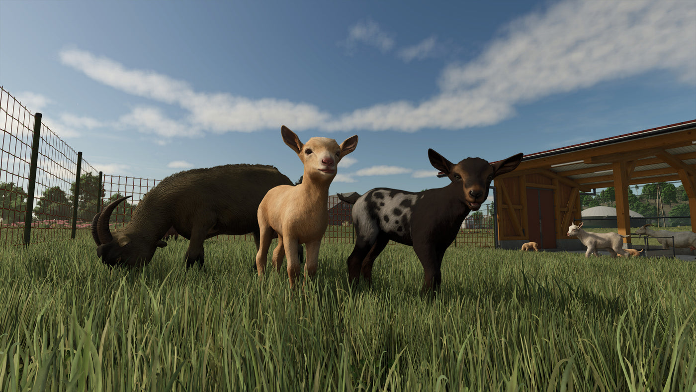 Farming Simulator 25 RU & CIS - PC (Steam) — скриншот 2