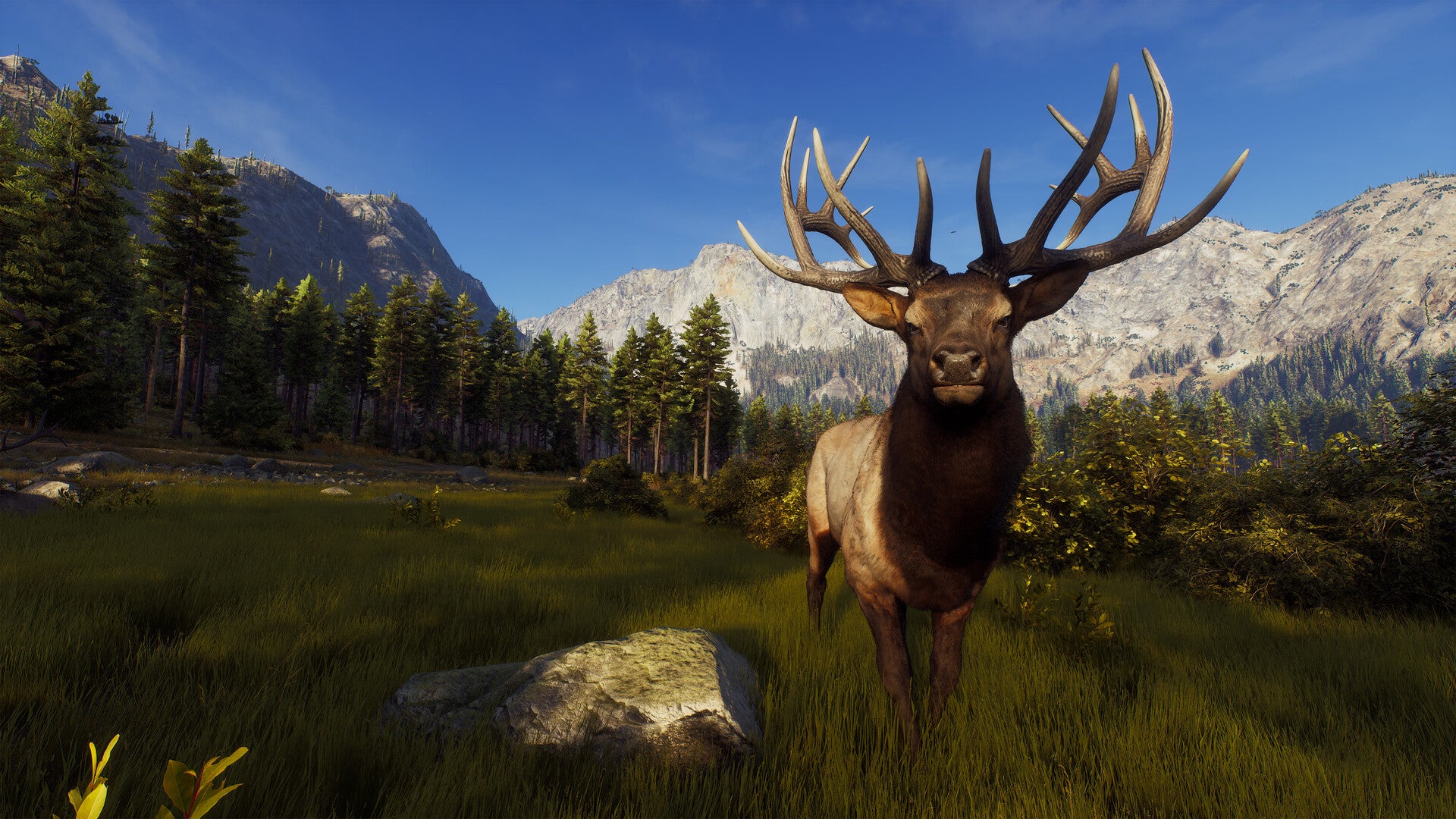 Way of the Hunter screenshot
