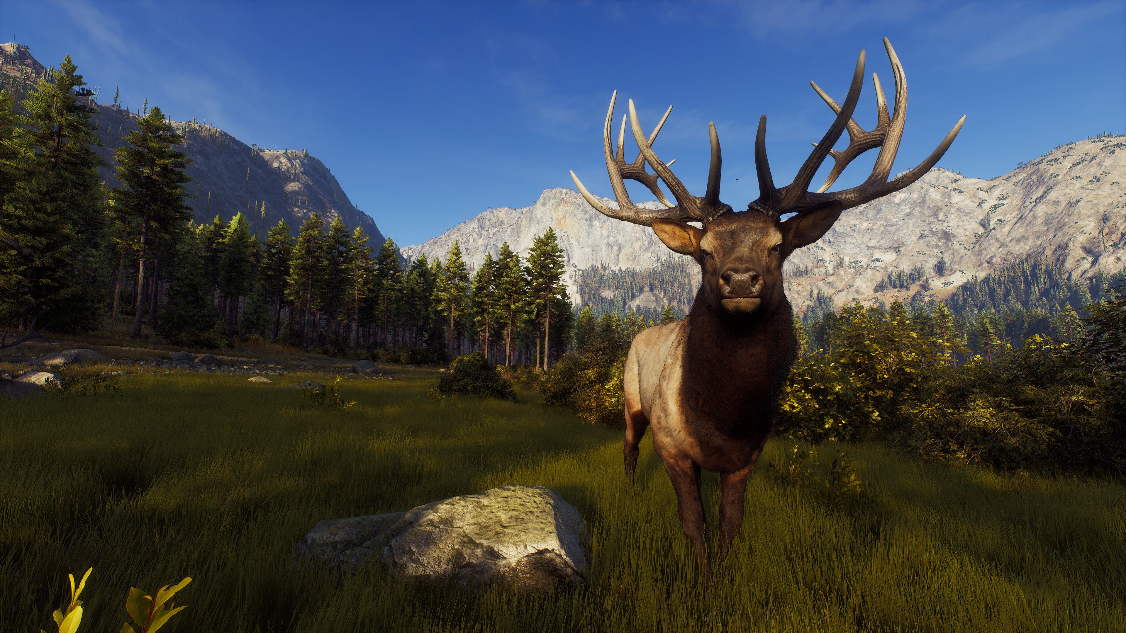 Way of the Hunter Elite Edition - PC (Steam) — screenshot 1