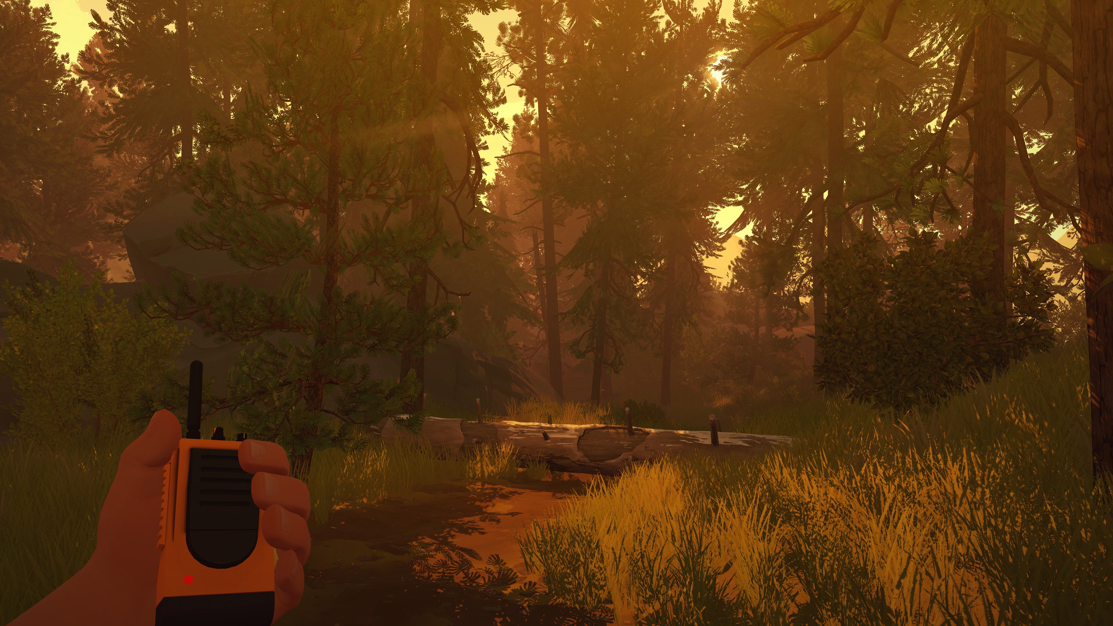 Firewatch - PC (GOG) — screenshot 3