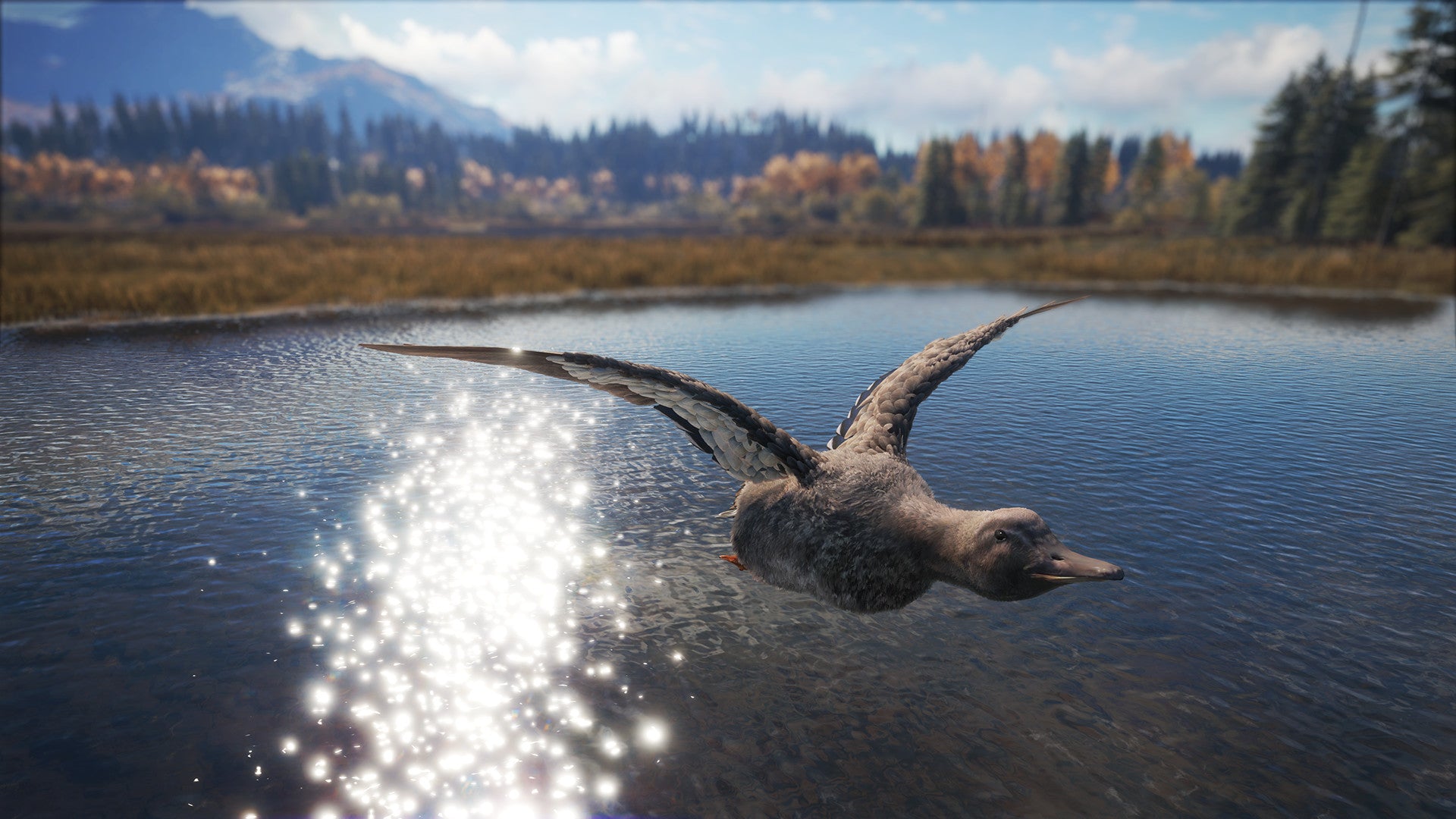 theHunter Call of the Wild - Duck and Cover Pack DLC - PC (Steam) — screenshot 1