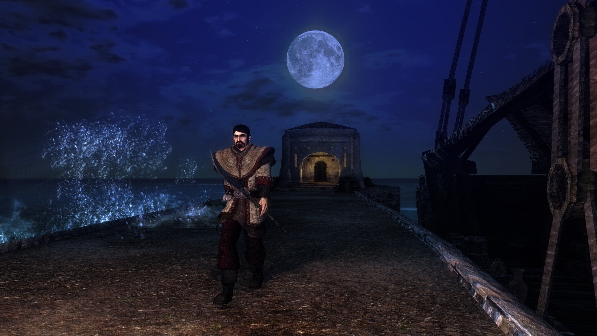 Risen - PC (Steam) — screenshot 2
