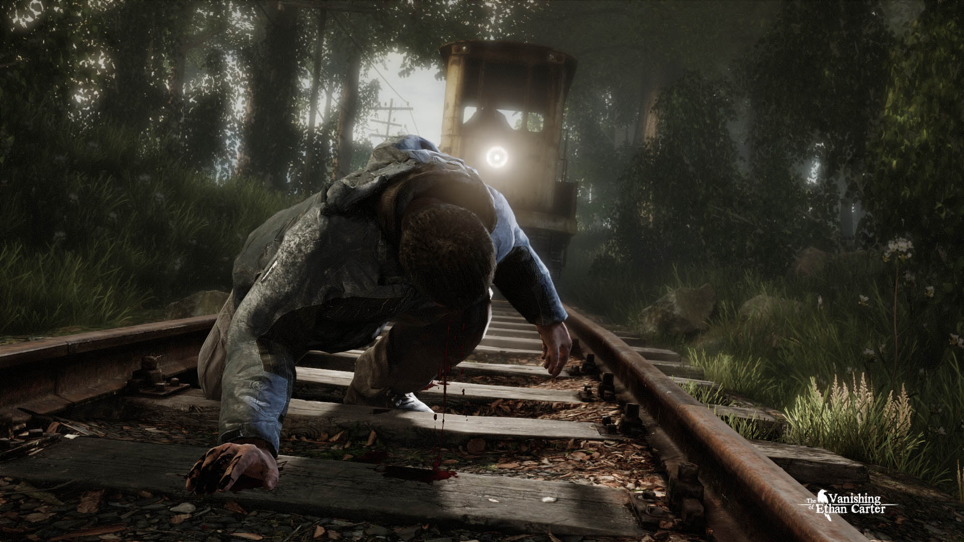 The Vanishing of Ethan Carter - PC (Steam) — screenshot 1