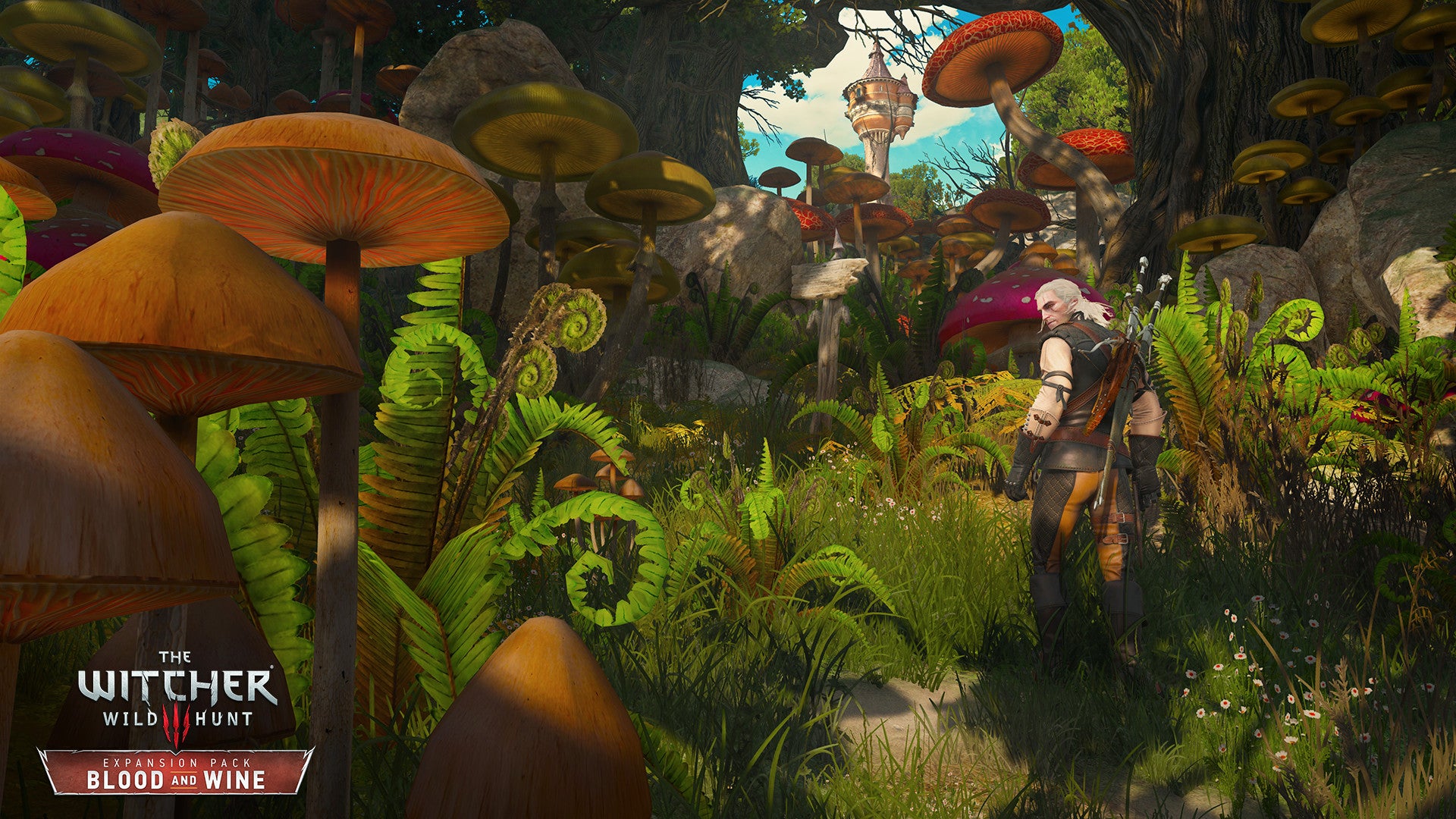 The Witcher 3: Wild Hunt - Expansion Pass - PC (GOG) — screenshot 3