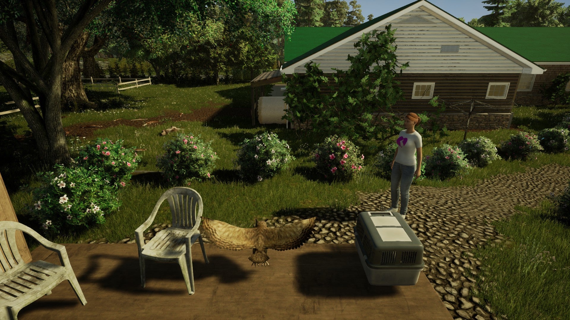 Animal Doctor screenshot