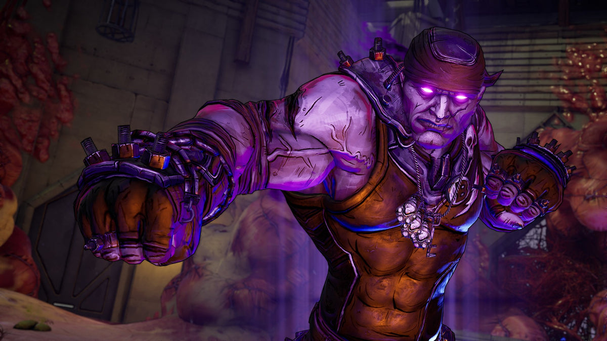 Borderlands 3 Psycho Krieg and the Fantastic Fustercluck DLC - PC (Steam) — скриншот 3
