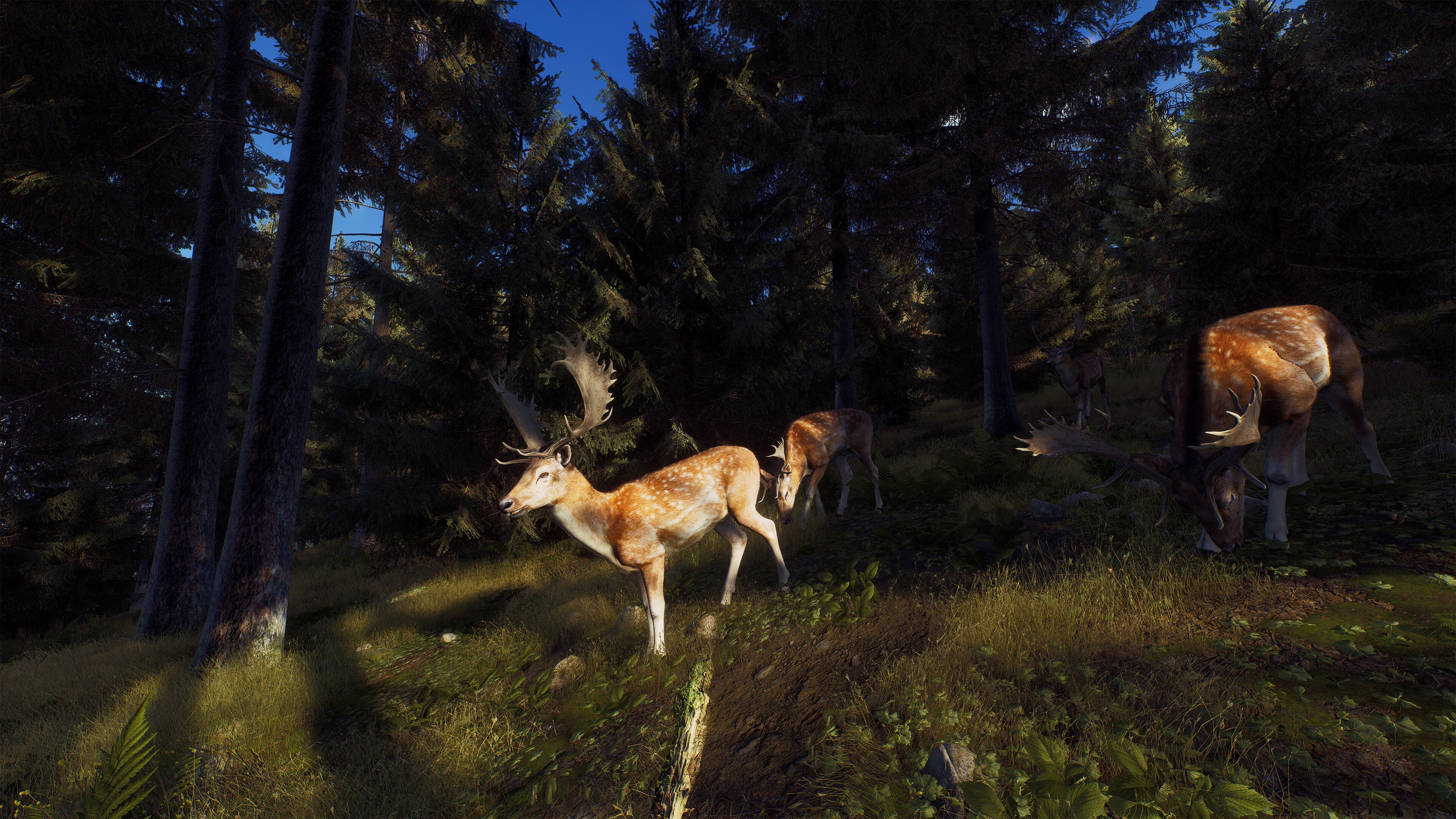 Way of the Hunter - PC (Steam) — screenshot 2