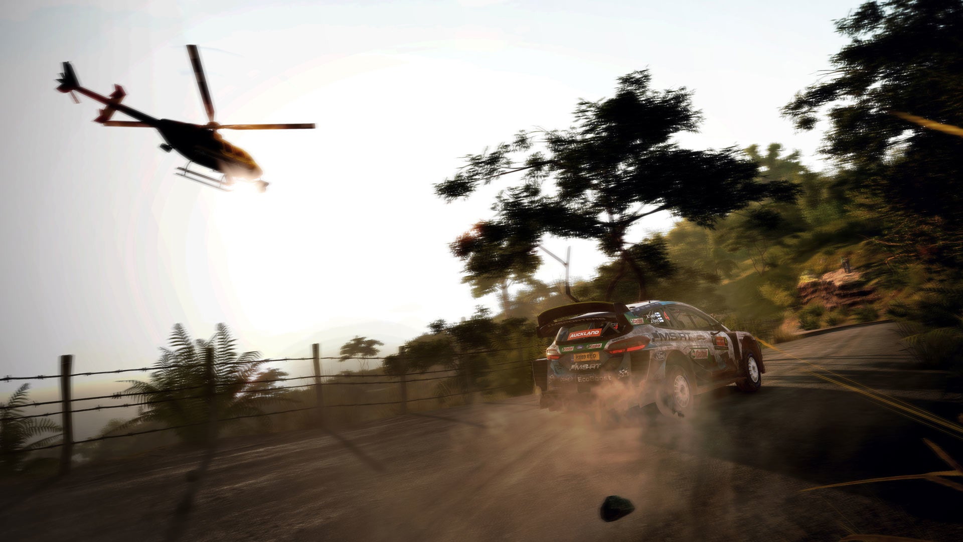 WRC 9 FIA World Rally Championship Deluxe Edition - PC (Steam) — screenshot 2