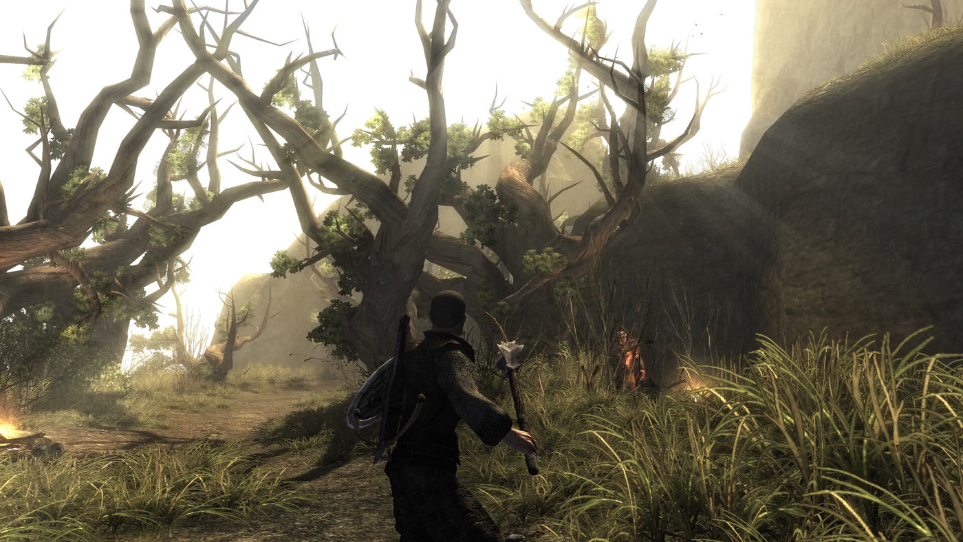 Risen - PC (Steam) — скриншот 1