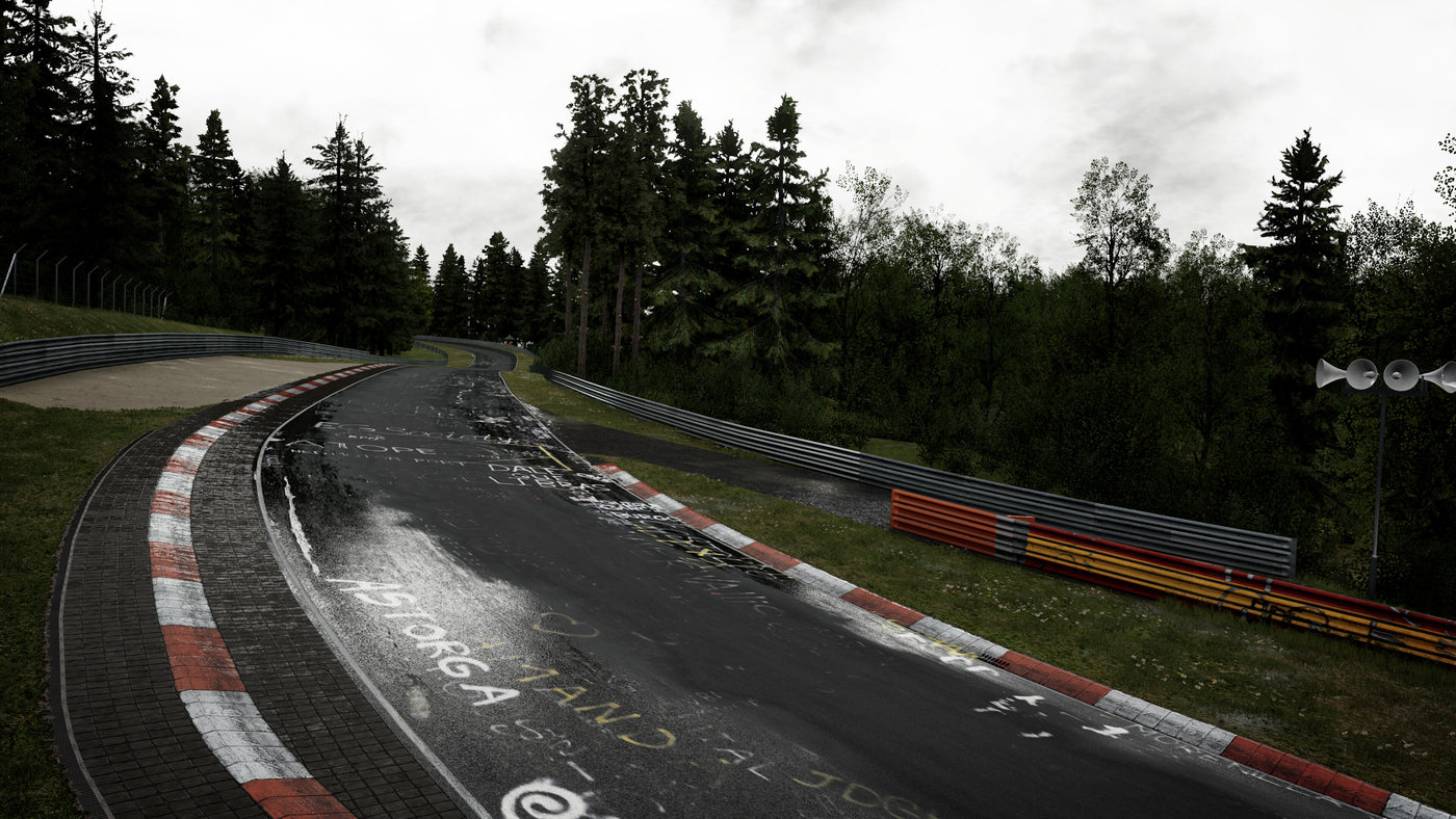 Assetto Corsa Competizione - 24H Nürburgring Pack DLC - PC (Steam) — скриншот 3