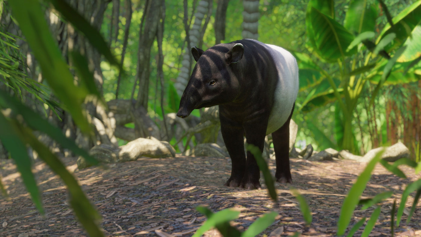 Planet Zoo: Southeast Asia Animal Pack DLC - PC (Steam) — скриншот 3