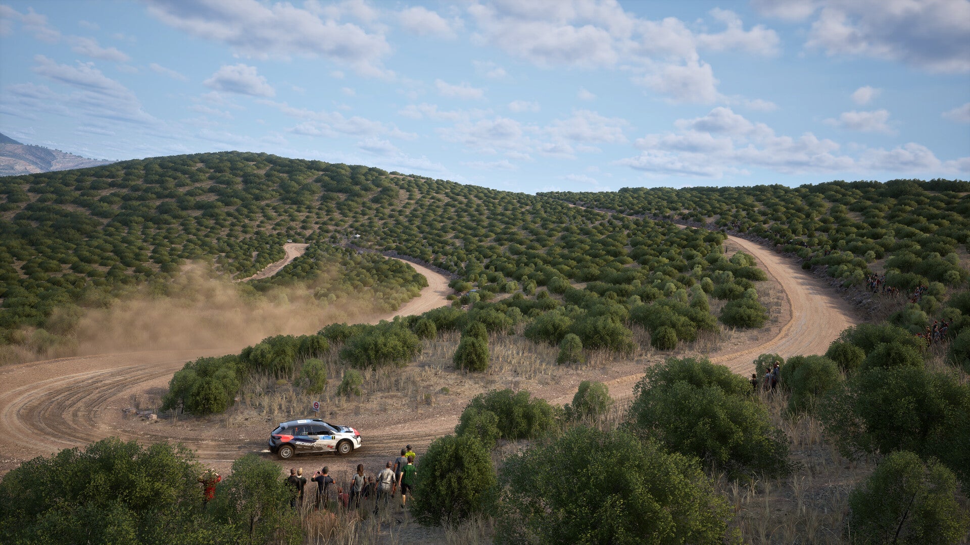 Assetto Corsa Rally - PC (Steam) — screenshot 3
