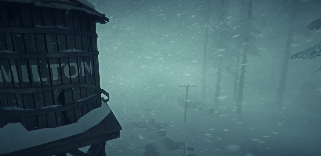 The Long Dark - PC (Steam) — screenshot 3