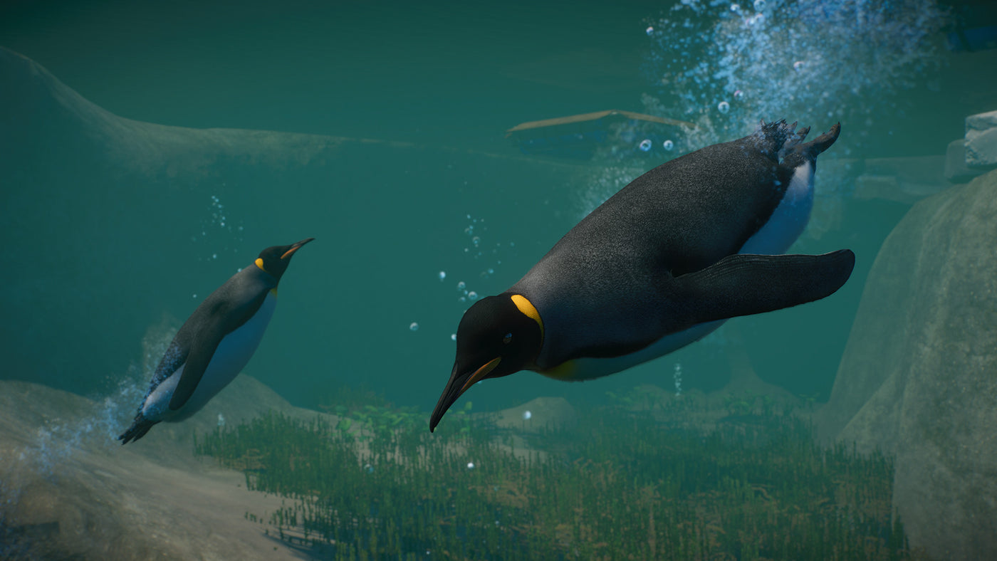 Planet Zoo: Aquatic Pack DLC - PC (Steam) — скриншот 2