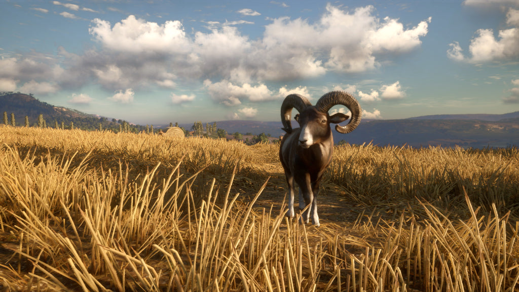 theHunter Call of the Wild - Cuatro Colinas Game Reserve DLC - PC (Steam) — screenshot 1