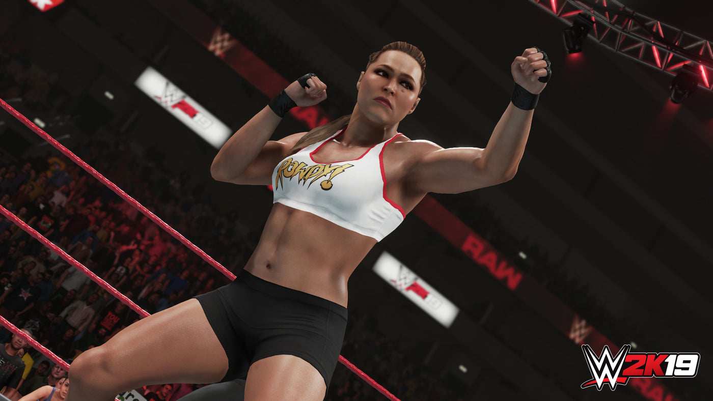 WWE 2K19 - PC (Steam) — скриншот 1