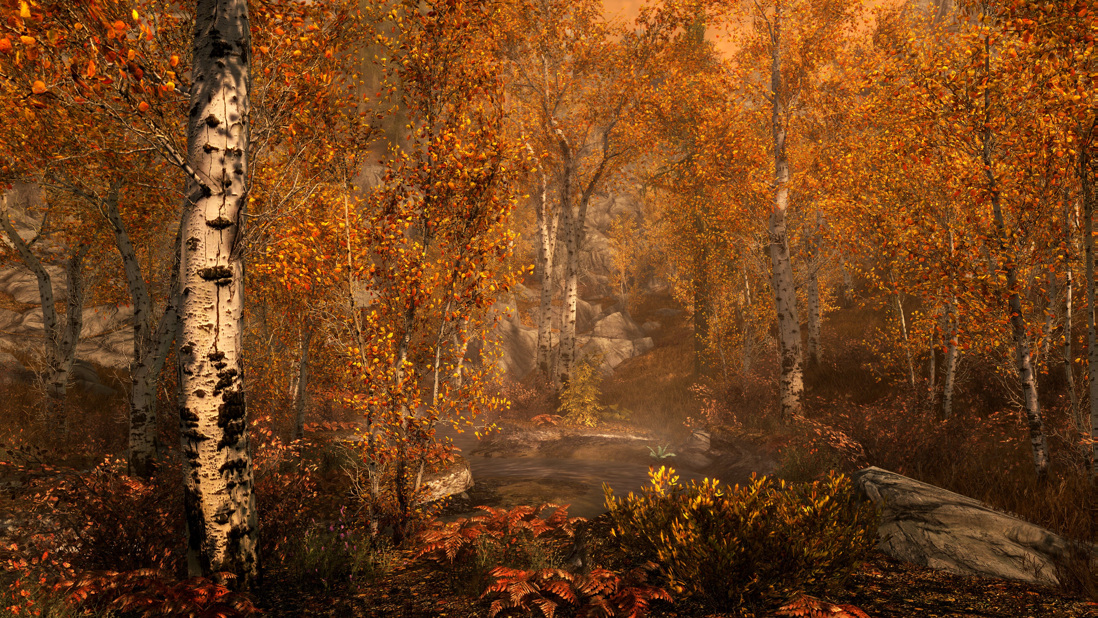 The Elder Scrolls V Skyrim Special Edition LATAM & CIS & ASIA - PC (Steam) — screenshot 3