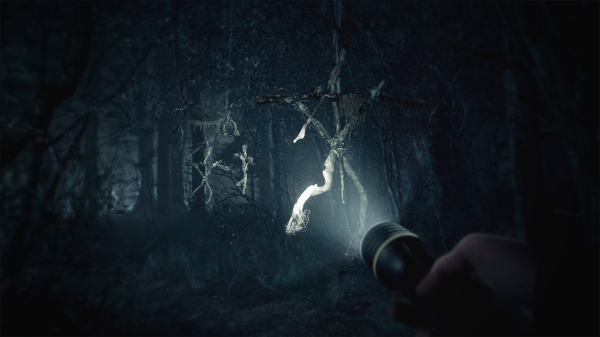 Blair Witch - PC (Steam) — screenshot 3