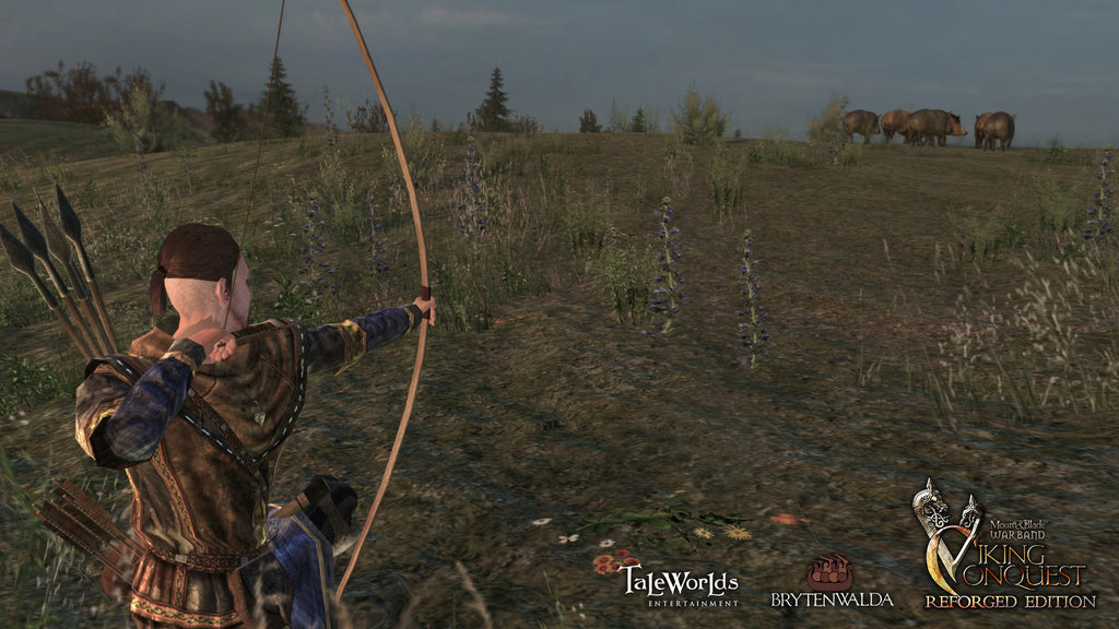 Mount & Blade Warband - Viking Conquest Reforged Edition DLC - PC (Steam) — screenshot 2