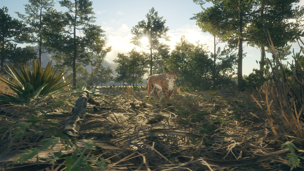 theHunter Call of the Wild - Rancho del Arroyo DLC - PC (Steam) — screenshot 2