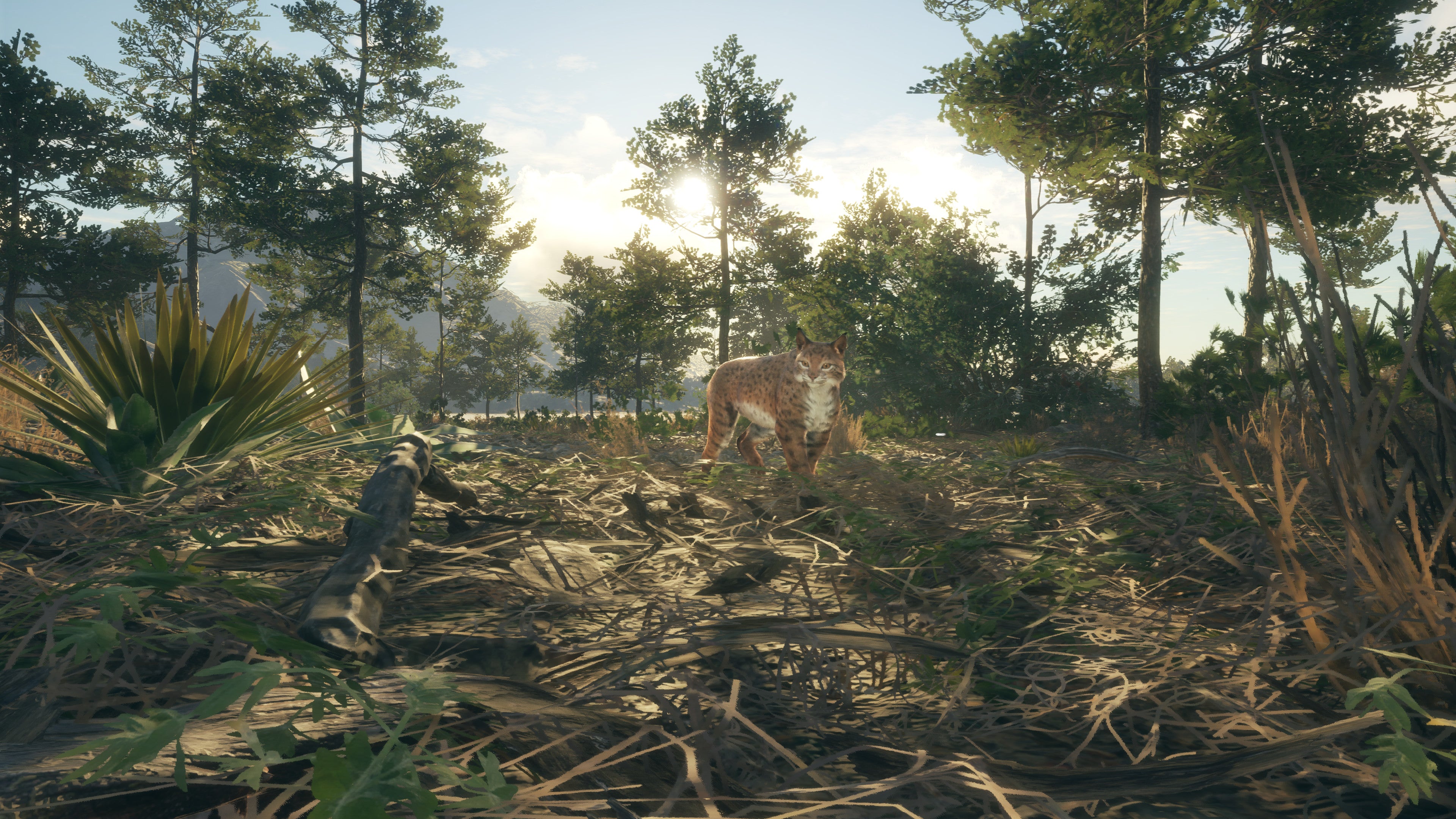 theHunter Call of the Wild - Rancho del Arroyo DLC - PC (Steam) — screenshot 2