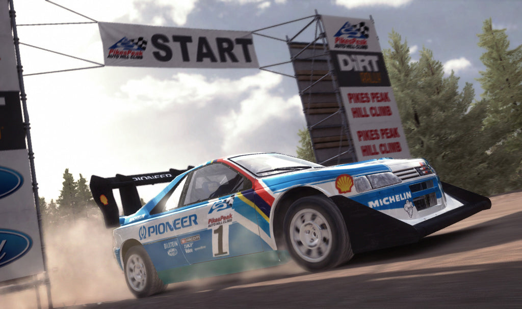 Dirt Rally - PC (Steam) — screenshot 3