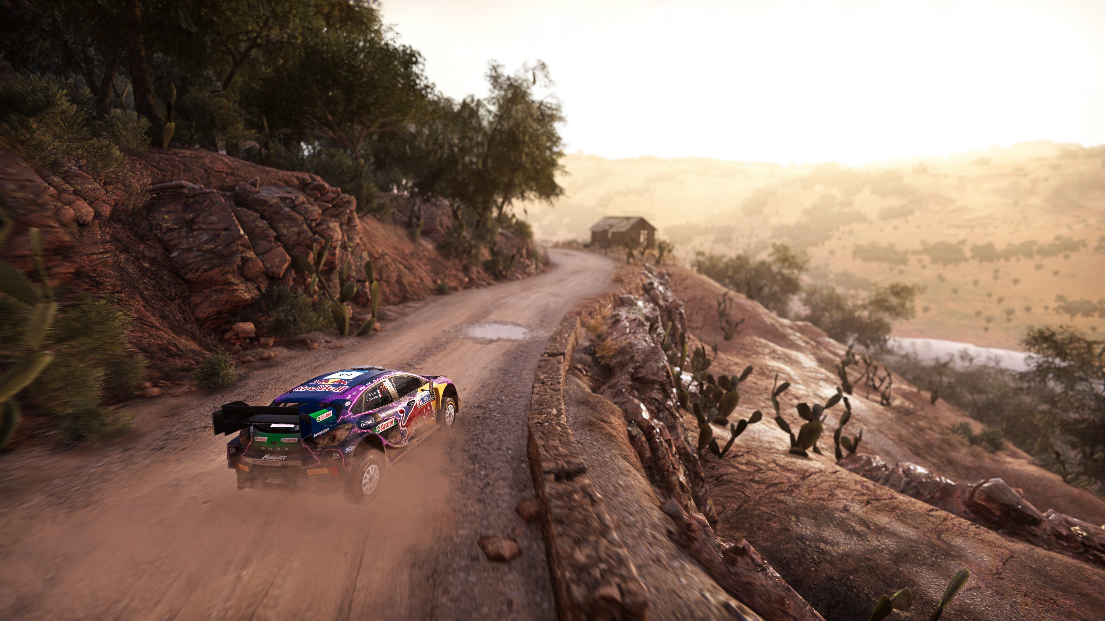 WRC Generations Deluxe Edition - PC (Steam) — screenshot 1