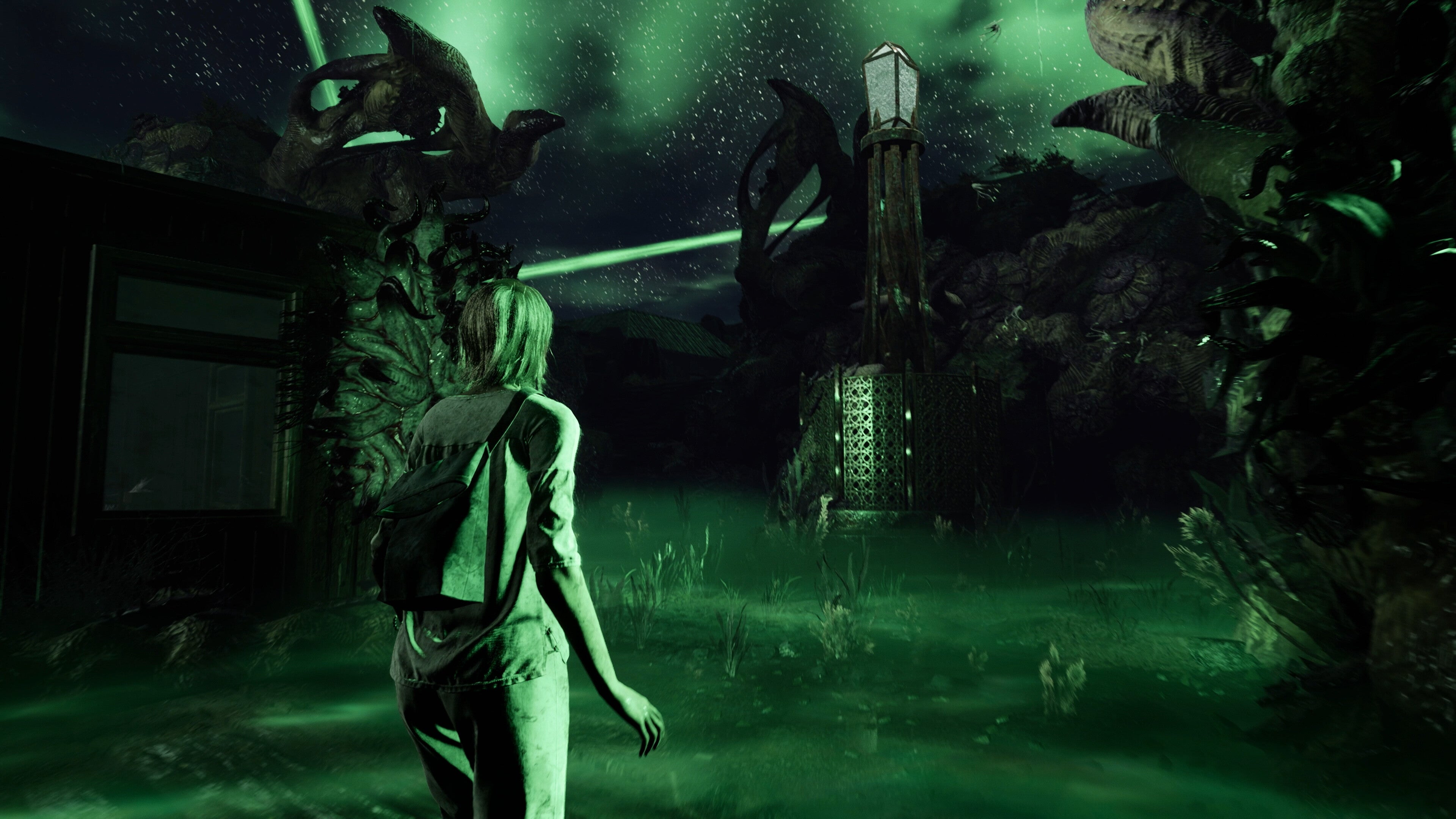 The Chant - PC (Steam) — screenshot 2
