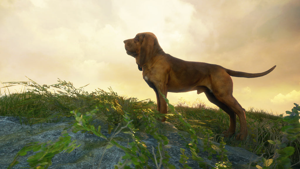theHunter Call of the Wild - Bloodhound DLC - PC (Steam) — screenshot 1