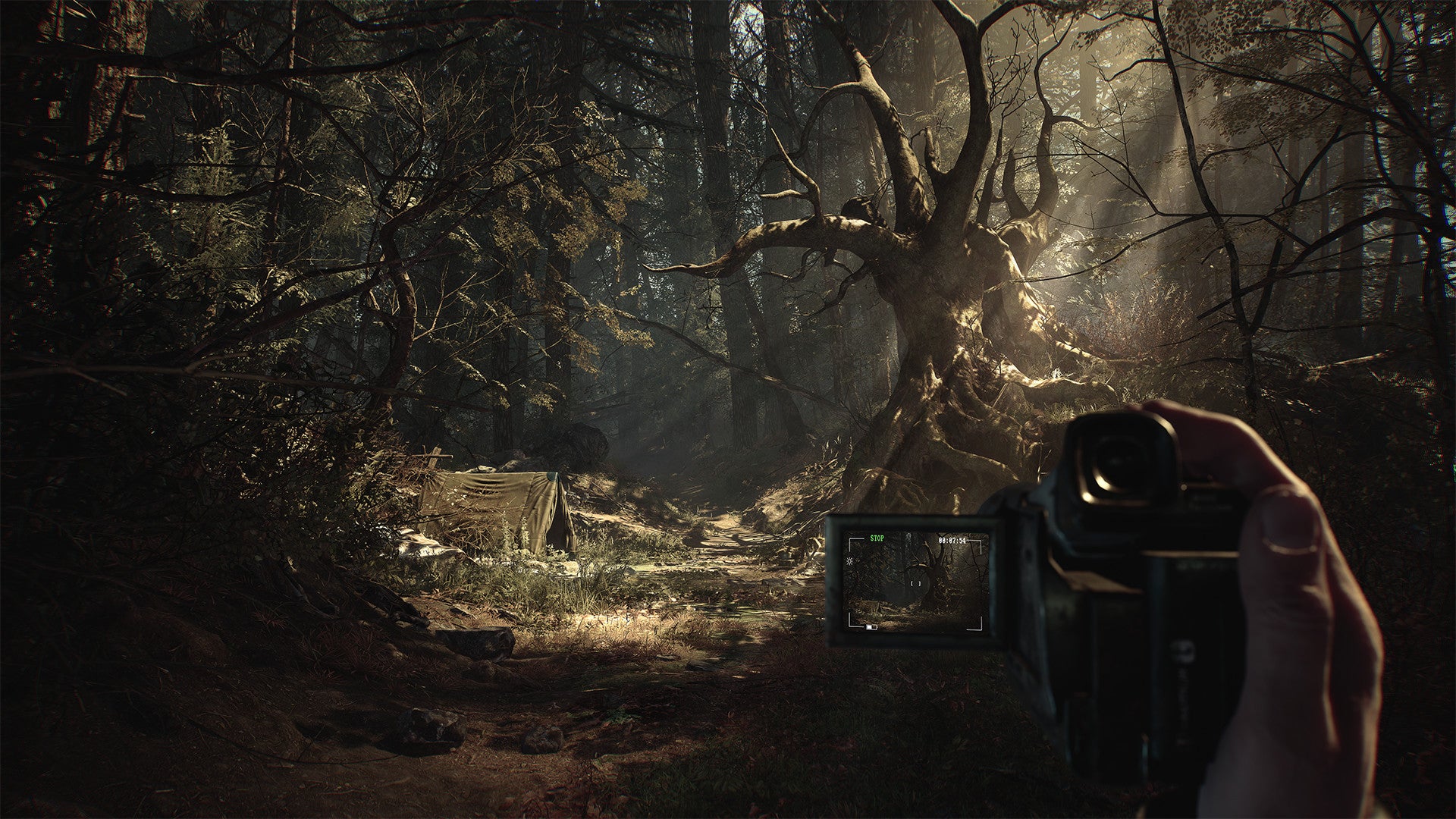 Blair Witch - PC (Steam) — screenshot 1