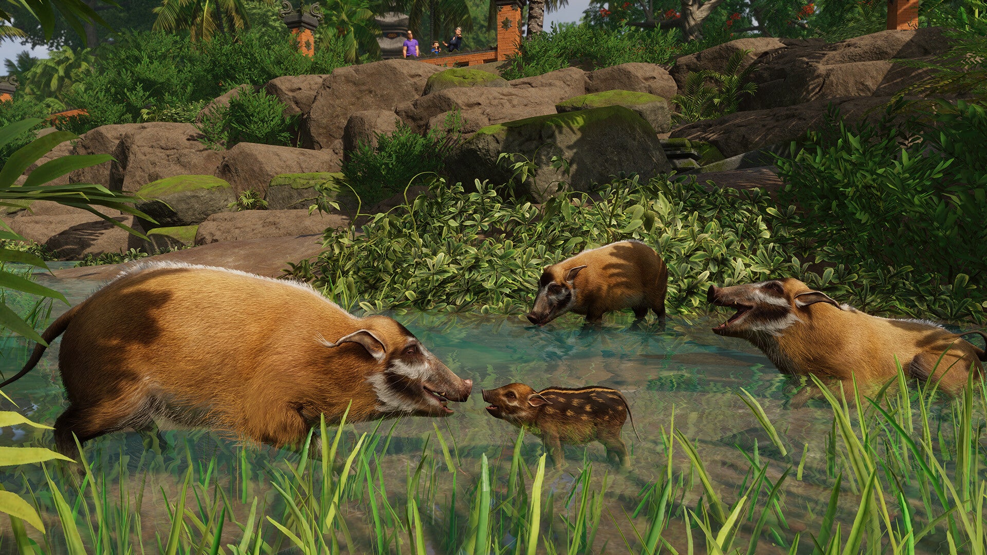 Planet Zoo: Tropical Pack DLC - PC (Steam) — screenshot 2