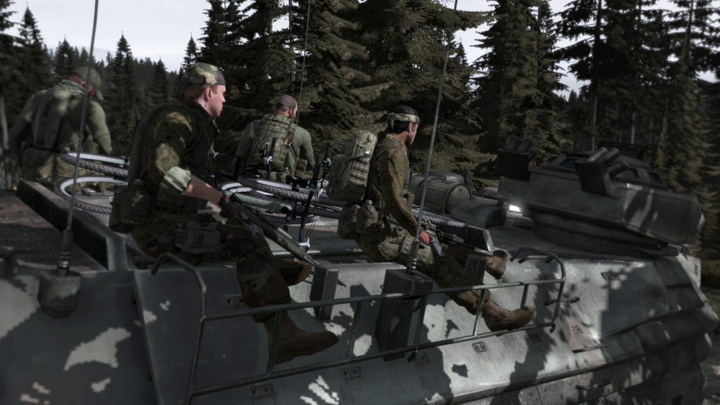 Arma 2 - PC (Steam) — screenshot 1