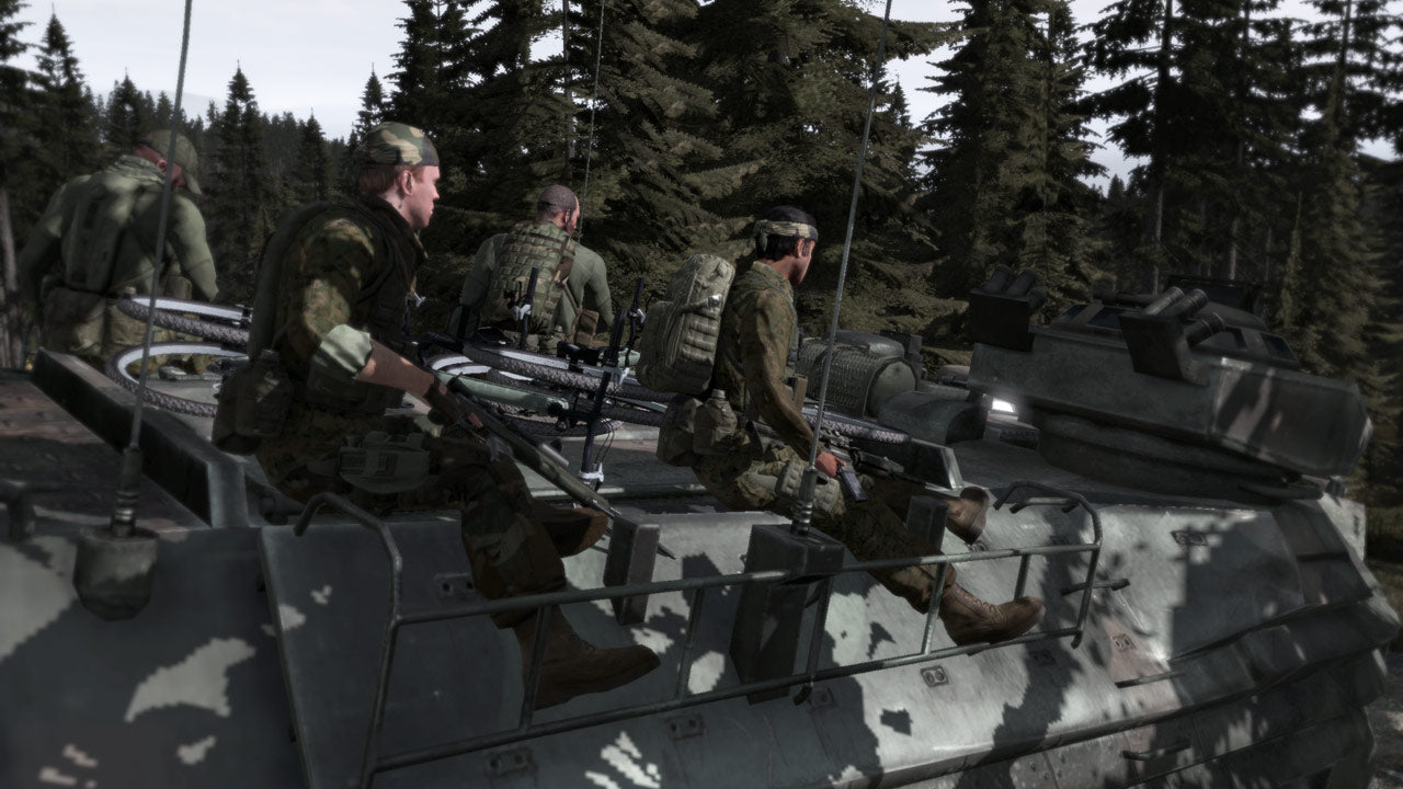 Arma 2 - PC (Steam) — screenshot 1