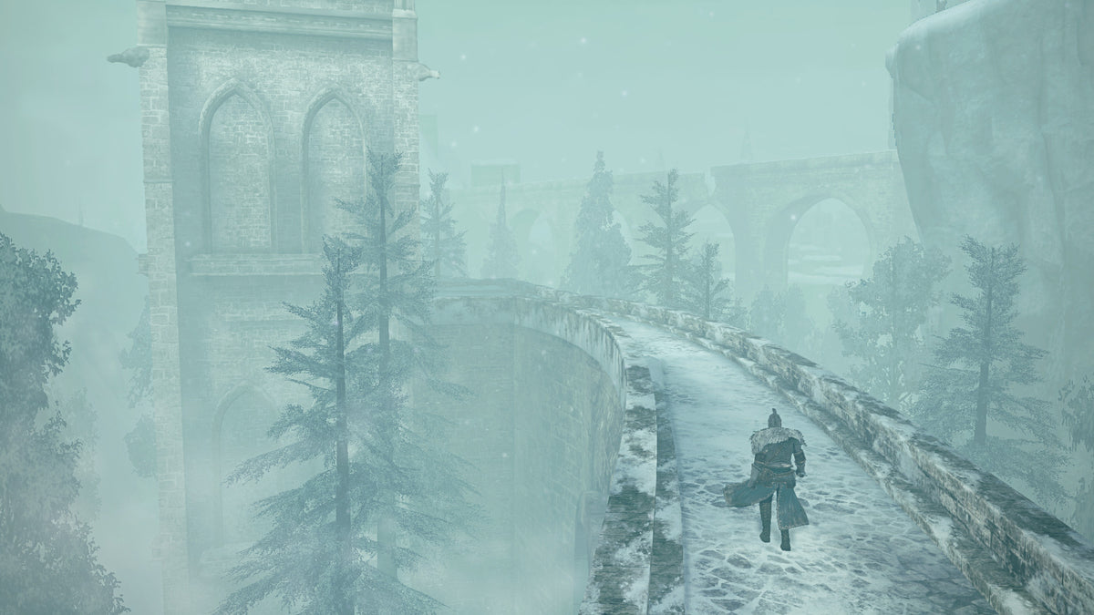 Dark Souls 2 Crown of the Ivory King DLC - PC (Steam) — screenshot 3
