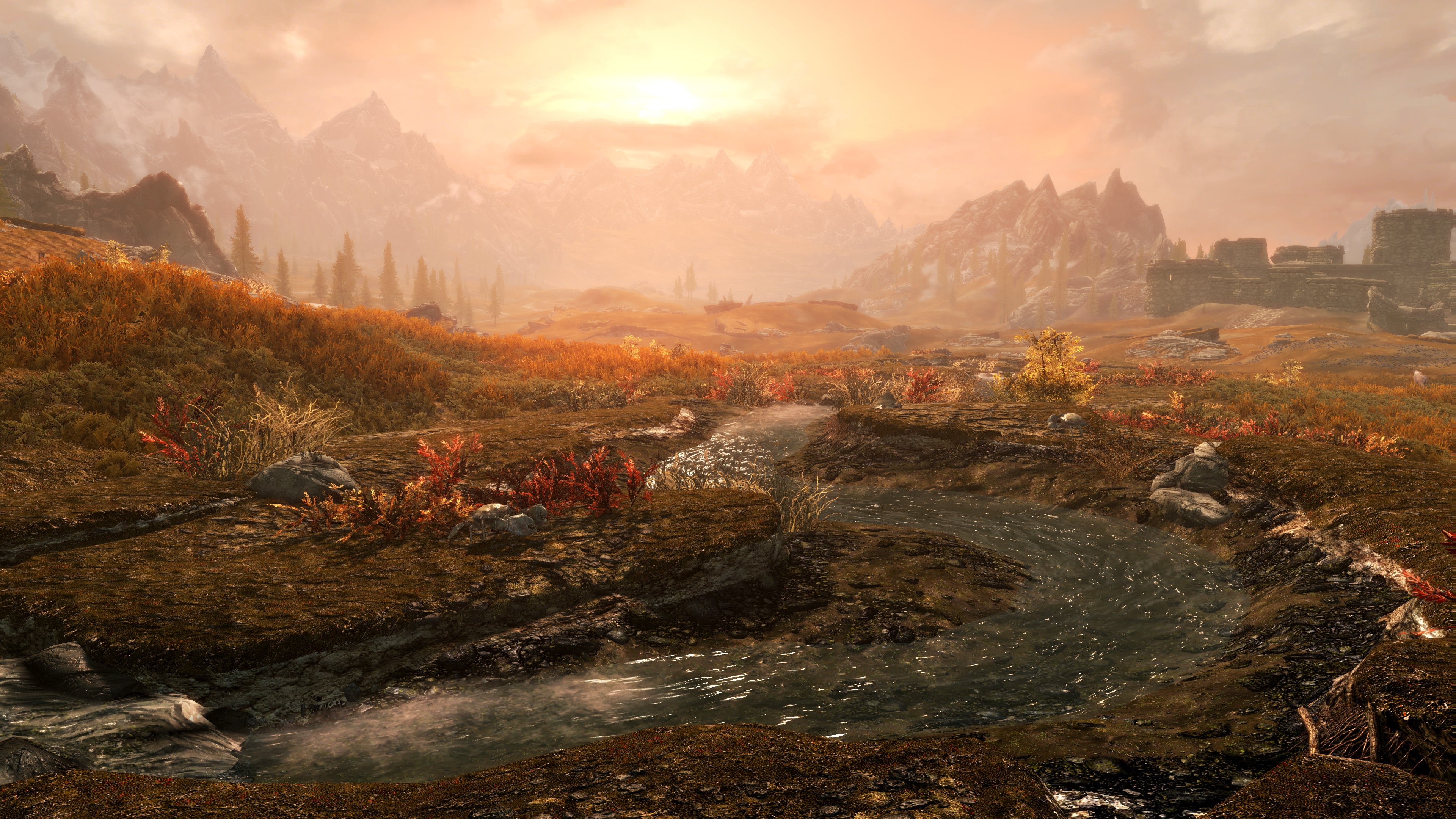 The Elder Scrolls V: Skyrim Anniversary Edition LATAM & CIS & ASIA - PC (Steam) — screenshot 2