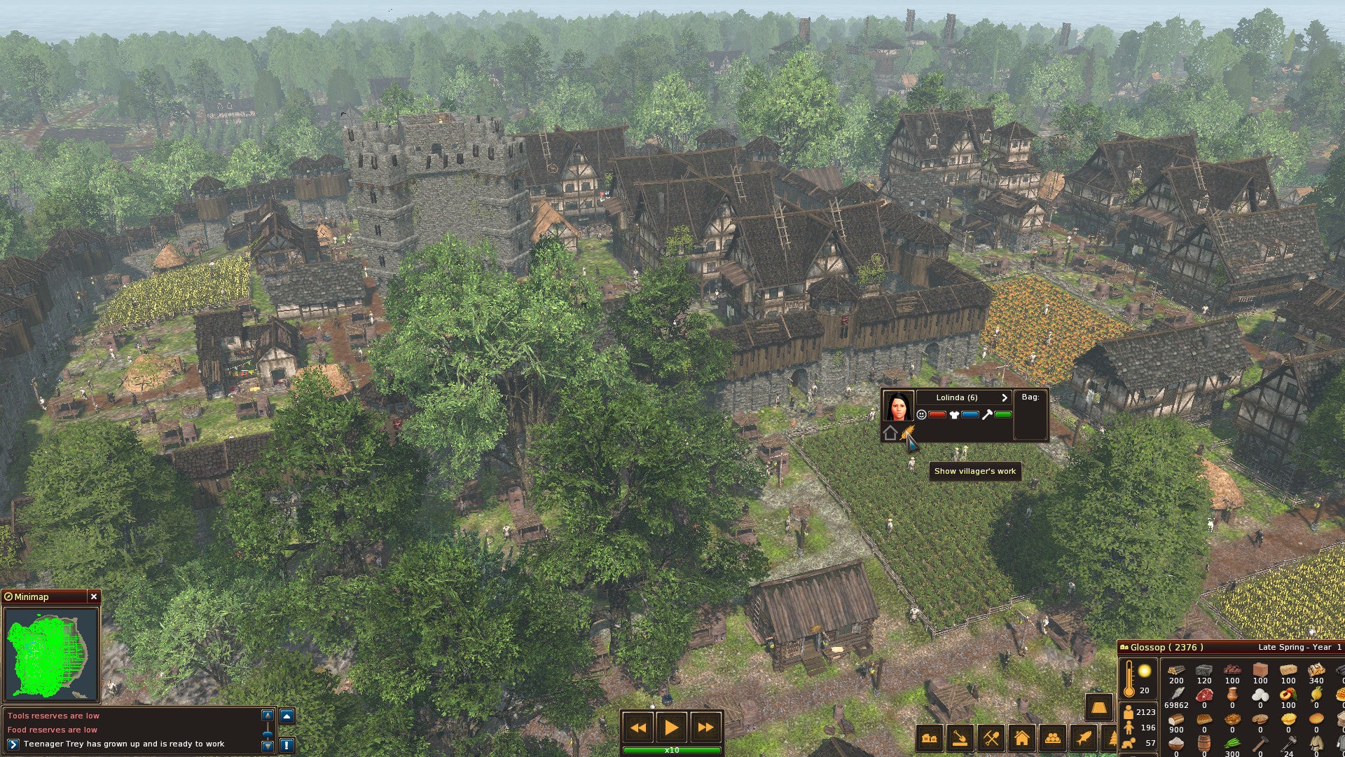 Life is Feudal: Forest Village - PC (Steam) — screenshot 2