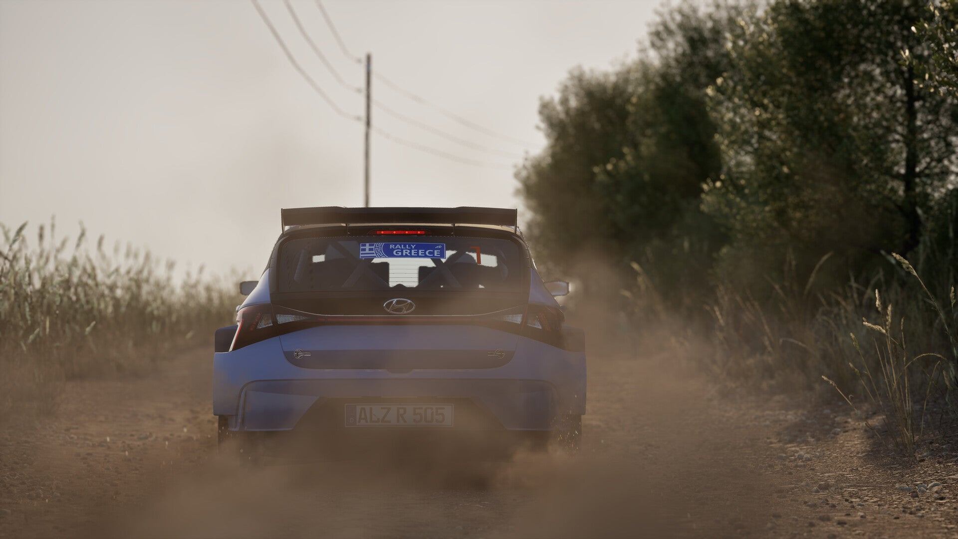 Assetto Corsa Rally - PC (Steam) — screenshot 2