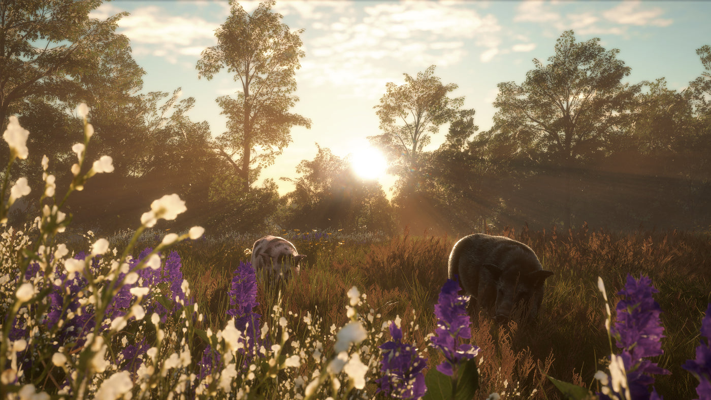 theHunter Call of the Wild - Mississippi Acres Preserve DLC - PC (Steam) — скриншот 1
